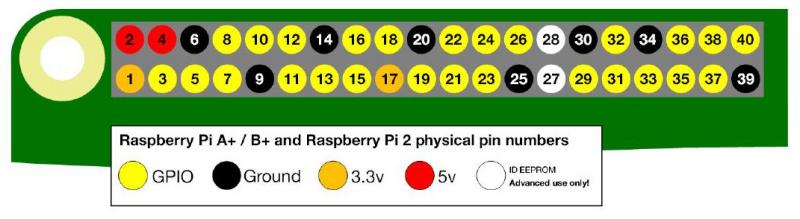 RPI GPIO Physical numbering